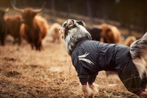 Slush Combat Regenoverall, Outlet